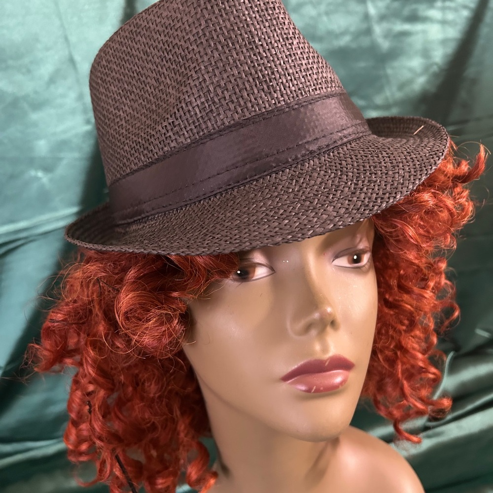 Elegant Dark Brown Fedora Hat